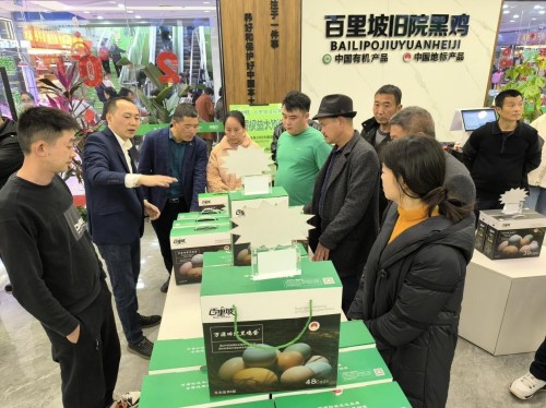 屏山锦屏镇组织部分党员干部群众赴川渝多地开展参观学习活动