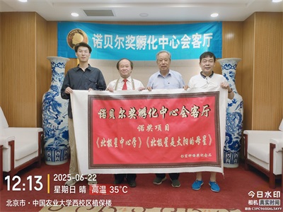 《 元素的原子结构及其物理和化学性质 》