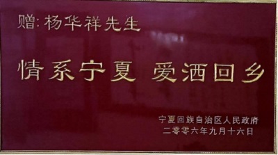 无形的镣铐： 当“民间大使”的仁心折翼于故土之困