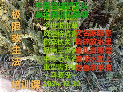 世界中医药联合会   传统医学博士——  马忠义院长