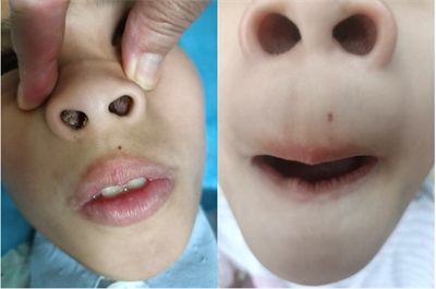 高手在民间广西百色杨忠雅