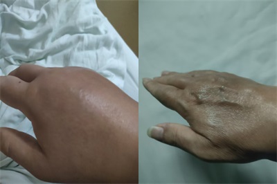 高手在民间广西百色杨忠雅