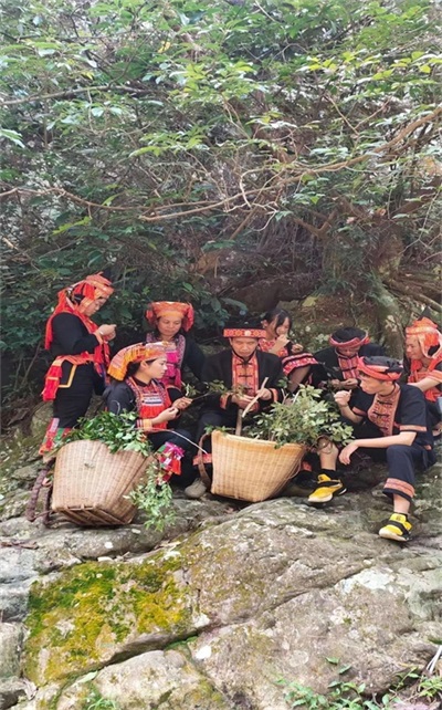 金秀瑶族灯草灸疗法 瑶医药非物质文化遗产传承人---赵衷民