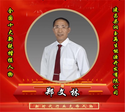 庆祝中国人民抗日战争胜利80周年 改革先锋——郑文林