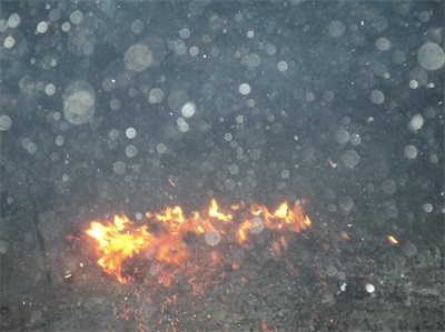 明旺法师开示：堕胎的果报