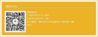 CCTV专栏名家--金凤章