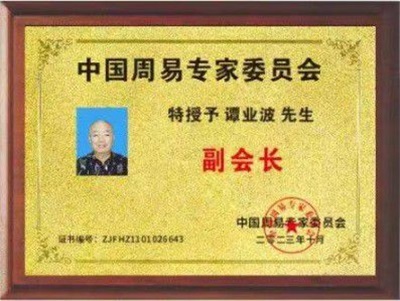 当代易学名家——谭业波