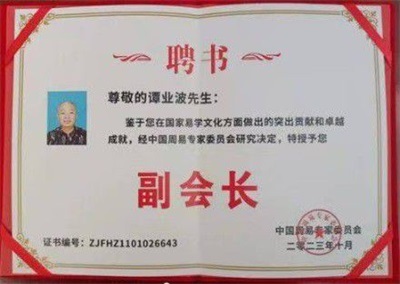 当代易学名家——谭业波