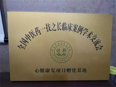 2026喜迎元旦非凡人物专题报道 中华医圣王叔和第八十七代传承人——王恩斌