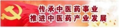 2026喜迎元旦非凡人物专题报道 中华医圣王叔和第八十七代传承人——王恩斌