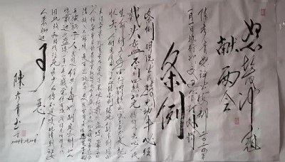 精研中医治鼻病 赤诚医者迎两会