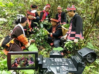 金秀瑶族灯草灸疗法 瑶医药非物质文化遗产传承人---赵衷 民