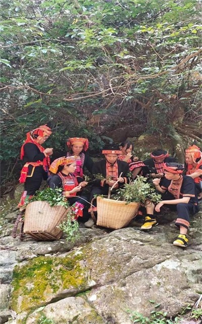 金秀瑶族灯草灸疗法 瑶医药非物质文化遗产传承人---赵衷 民