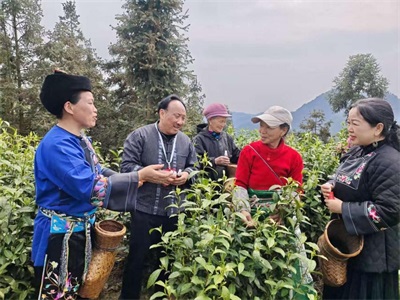 学习两会精神 争做新时代楷模 符忠来走进黄金村健康服务