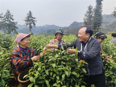 学习两会精神 争做新时代楷模 符忠来走进黄金村健康服务