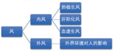 聚力健康中国 李东来：十全延生汤诠释中医药惠民力量