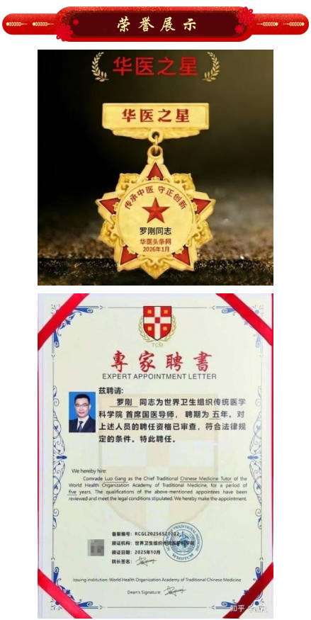 建筑领域权威罗刚：匠心筑安 技赋能 以实干绘就城市更新新蓝图