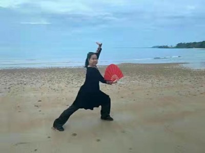 疑难病诊疗专家  ——黎雪凤