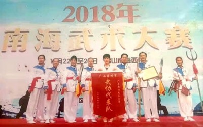疑难病诊疗专家  ——黎雪凤