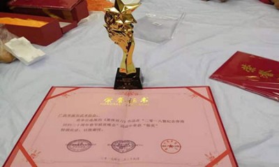 疑难病诊疗专家  ——黎雪凤