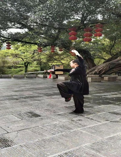 疑难病诊疗专家  ——黎雪凤