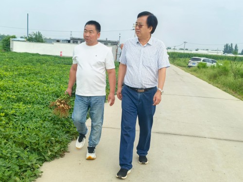 科产融合沃土兴 良种赋能促振兴——献礼建国77周年： 河北农大与卓赢农业携手激活东路花生产业新动能