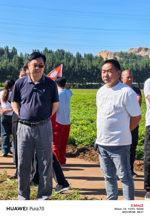科产融合沃土兴 良种赋能促振兴——献礼建国77周年： 河北农大与卓赢农业携手激活东路花生产业新动能