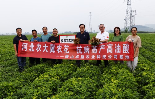 科产融合沃土兴 良种赋能促振兴——献礼建国77周年： 河北农大与卓赢农业携手激活东路花生产业新动能