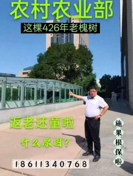 凭技术打天下 靠效果定江山 红色大健康产业链农产品口感擂台赛邀您共赴品质之约