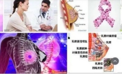 冉明医师创新国医精粹 铺就患者“健康之路