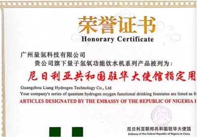 现代科技量氢氧元素绿色自然疗法！(廖永贵院士)