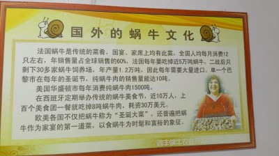 科创为民·健康中国｜黄河千年清一回中国活性龙肽金蜗牛