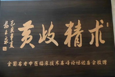 中华医圣王叔和第八十七代传承王恩斌