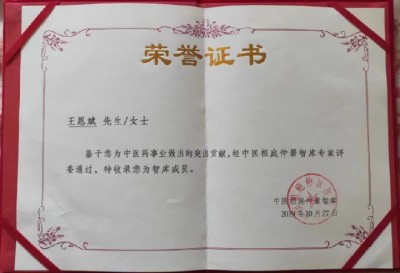 中华医圣王叔和第八十七代传承王恩斌