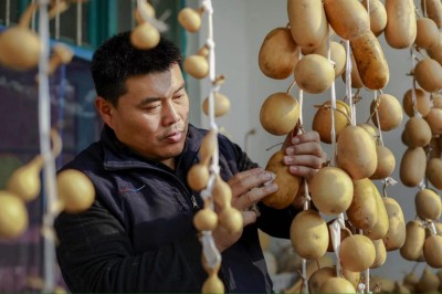 葫芦雕刻技艺第四代传承人——邢文亭