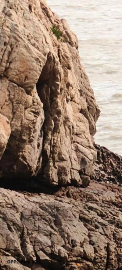 金马贺岁•中国著名中西医结合理疗专家陈德来新春大拜年