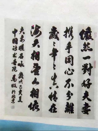 金马贺岁•中国著名中西医结合理疗专家陈德来新春大拜年