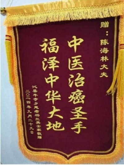 陈海林教授三焦气化法 ：开创乳腺癌治疗新路径