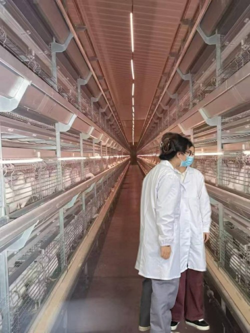 育技能尖兵，筑疫病防线—扬州市职业大学以科研项目赋能人才成长