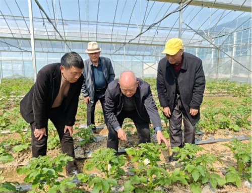 吴山镇科技下乡惠农，精准服务春耕