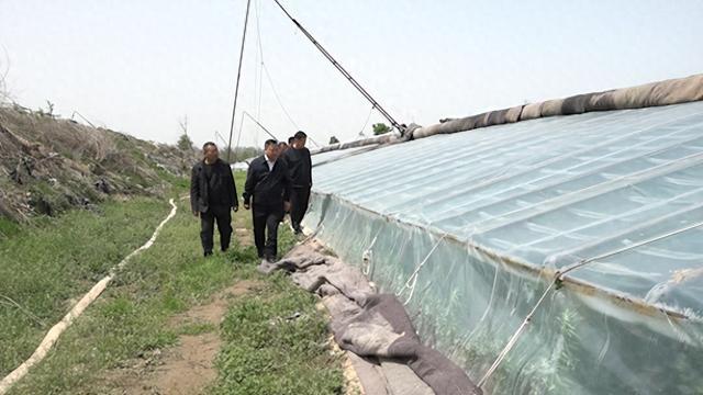 积极应对降温大风天气 做好蔬菜稳产保供