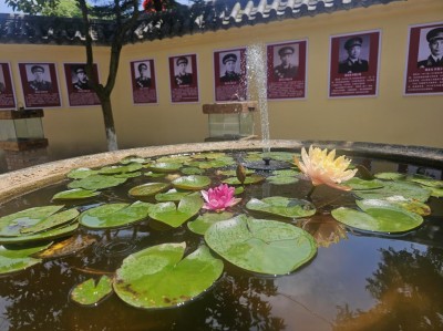 重庆市江津区50多位党员干部莅临 荣昌区清流红色故居爱国主义教育基地